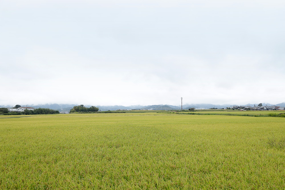 いぶし瓦の邸宅で感じる、里山の暮らしと瓦。